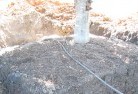 Blanchviewtree-transplanting-4.jpg; ?>